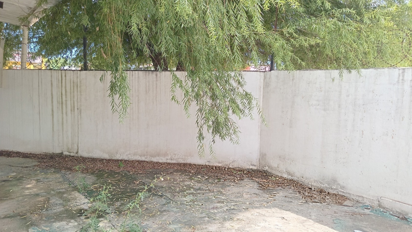 Casa en VENTA 3 habitaciones y gran patio en Colonia Avellaneda